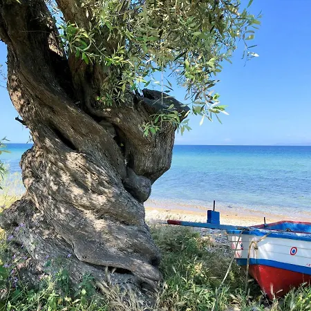 Villa Byblos Luxury *